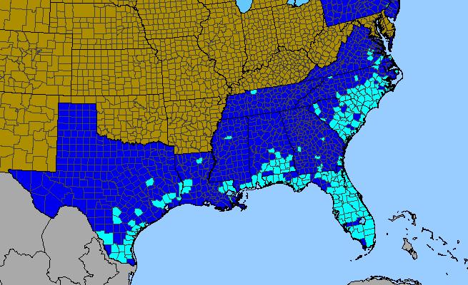 The range of Richardia brasiliensis